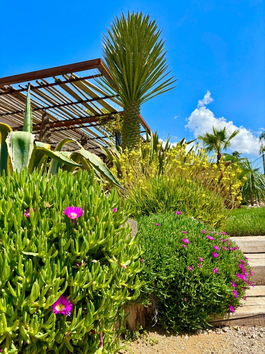 Aménagement tropical